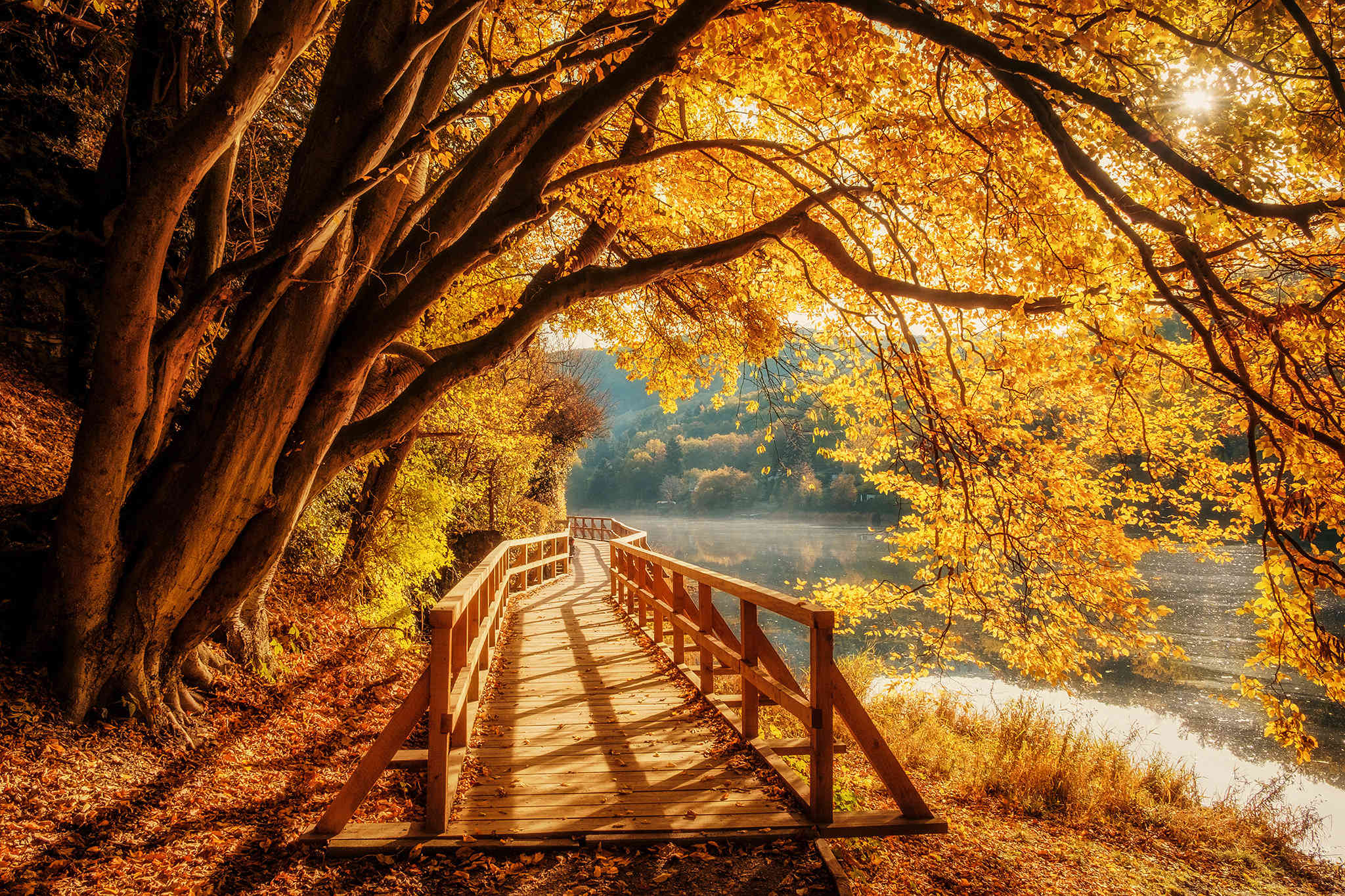 Herbstbilder Natur